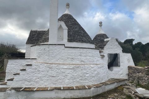 Landejendom i Ostuni, Brindisi, Ostuni - € 250.000 | Ref: 155 - foto 47