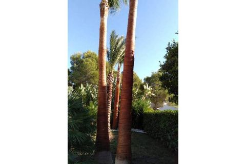 Villa i Altea, Alicante, Altea - € 6.500.000 | Ref: 72-96191 - foto 45