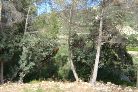 Terra a Alcalali, Alicante, Alcalali - € 120.000 | Ref: 00168 - foto 2