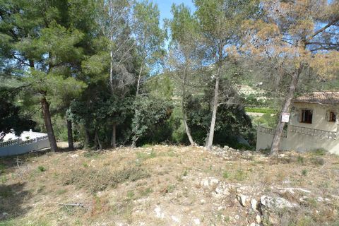 Terra a Alcalali, Alicante, Alcalali - € 120.000 | Ref: 00168 - foto 3