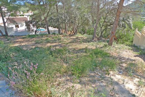 Terra a Alcalali, Alicante, Alcalali - € 120.000 | Ref: 00168 - foto 4