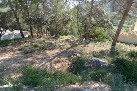 Terra a Alcalali, Alicante, Alcalali - € 120.000 | Ref: 00168 - foto 5