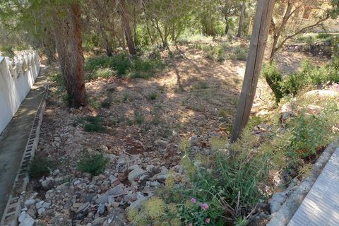 Terra a Alcalali, Alicante, Alcalali - € 120.000 | Ref: 00168 - foto 6