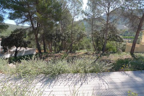 Terra a Alcalali, Alicante, Alcalali - € 120.000 | Ref: 00168 - foto 7