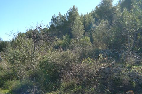 Helårsgrund i Jalon, Alicante, Jalon - € 180.000 | Ref: 001045PGI - foto 4