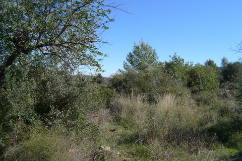 Helårsgrund i Jalon, Alicante, Jalon - € 180.000 | Ref: 001045PGI - foto 5