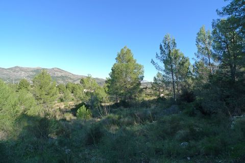 Helårsgrund i Jalon, Alicante, Jalon - € 180.000 | Ref: 001045PGI - foto 10