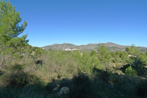 Helårsgrund i Jalon, Alicante, Jalon - € 180.000 | Ref: 001045PGI - foto 11