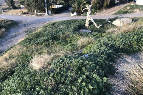 Cortijo i Huercal-Overa, Almeria, Huercal-Overa - € 60.000 | Ref: A1141 - foto 19