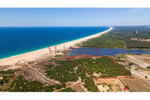 Helårsgrund i Sines, Setubal, Sines - € 6.000.000 | Ref: L0101/22 - foto 1