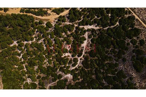 Helårsgrund i Sines, Setubal, Sines - € 6.000.000 | Ref: L0101/22 - foto 3