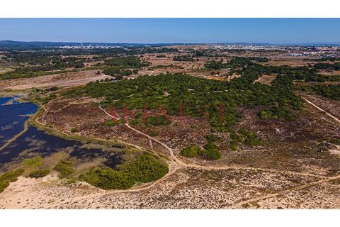 Helårsgrund i Sines, Setubal, Sines - € 6.000.000 | Ref: L0101/22 - foto 6