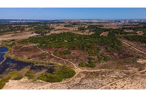 Helårsgrund i Sines, Setubal, Sines - € 6.000.000 | Ref: L0101/22 - foto 7