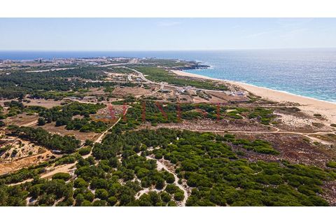Helårsgrund i Sines, Setubal, Sines - € 6.000.000 | Ref: L0101/22 - foto 11