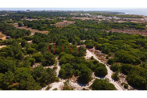 Helårsgrund i Sines, Setubal, Sines - € 6.000.000 | Ref: L0101/22 - foto 12