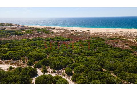 Helårsgrund i Sines, Setubal, Sines - € 6.000.000 | Ref: L0101/22 - foto 13