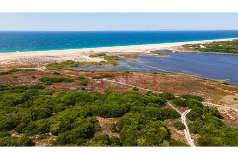 Helårsgrund i Sines, Setubal, Sines - € 6.000.000 | Ref: L0101/22 - foto 14