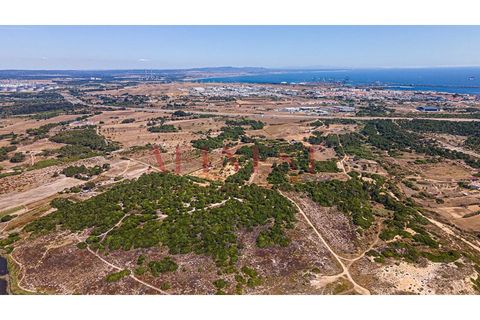 Helårsgrund i Sines, Setubal, Sines - € 6.000.000 | Ref: L0101/22 - foto 15