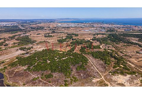 Helårsgrund i Sines, Setubal, Sines - € 6.000.000 | Ref: L0101/22 - foto 16