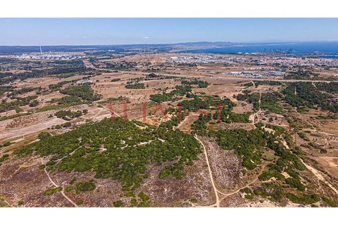 Helårsgrund i Sines, Setubal, Sines - € 6.000.000 | Ref: L0101/22 - foto 17