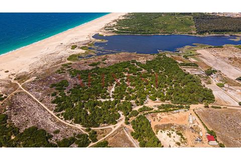 Helårsgrund i Sines, Setubal, Sines - € 6.000.000 | Ref: L0101/22 - foto 19