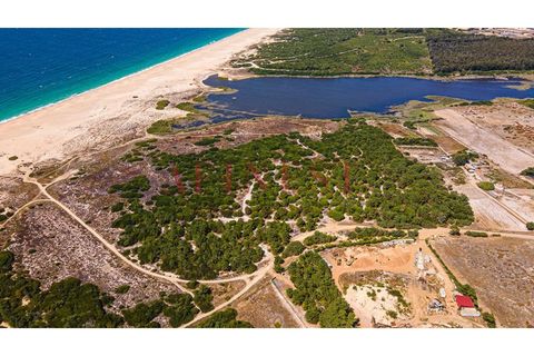 Helårsgrund i Sines, Setubal, Sines - € 6.000.000 | Ref: L0101/22 - foto 20