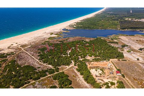 Helårsgrund i Sines, Setubal, Sines - € 6.000.000 | Ref: L0101/22 - foto 21