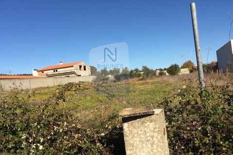 Helårsgrund i Abrantes, Santarem, Abrantes - € 140.000 | Ref: ID 01001101-57 - foto 3