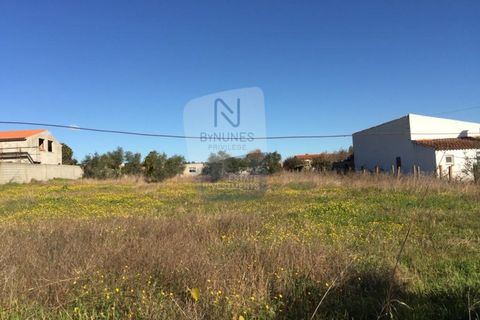 Helårsgrund i Abrantes, Santarem, Abrantes - € 140.000 | Ref: ID 01001101-57 - foto 4