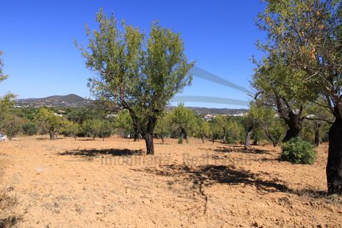 Ruinere i Estoi, Faro, Estoi - € 250.000 | Ref: RUÏ_122 - foto 3