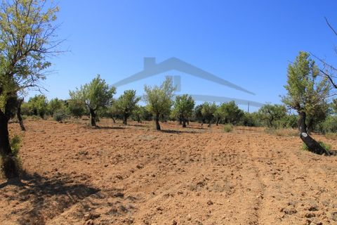 Ruinere i Estoi, Faro, Estoi - € 250.000 | Ref: RUÏ_122 - foto 10