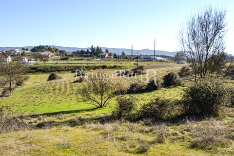 Helårsgrund i Covilha, Castelo Branco, Covilha - € 750.000 | Ref: 1879 - foto 14