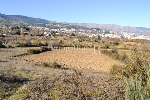 Helårsgrund i Covilha, Castelo Branco, Covilha - € 750.000 | Ref: 1879 - foto 16