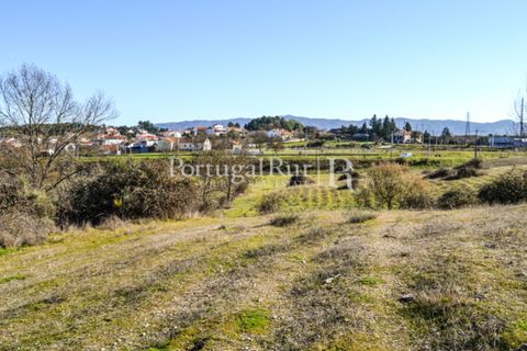 Helårsgrund i Covilha, Castelo Branco, Covilha - € 750.000 | Ref: 1879 - foto 17