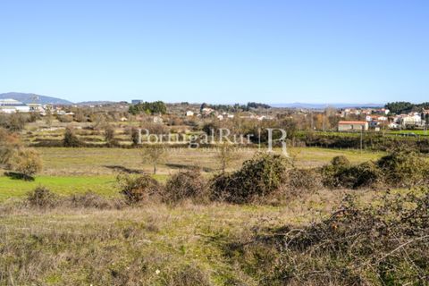 Helårsgrund i Covilha, Castelo Branco, Covilha - € 750.000 | Ref: 1879 - foto 19