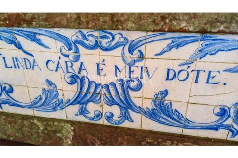 Farm i Agueda, Aveiro, Agueda - € 1.900.000 | Ref: MAS_3887 - foto 10