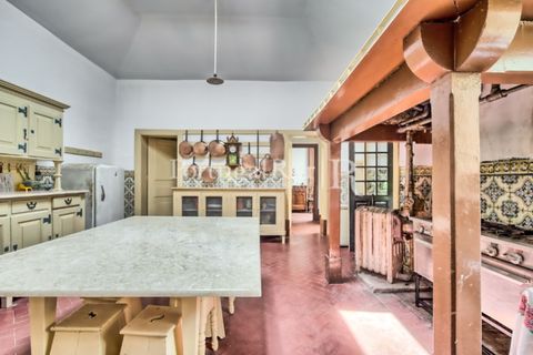 Farm i Agueda, Aveiro, Agueda - € 1.900.000 | Ref: MAS_3887 - foto 11