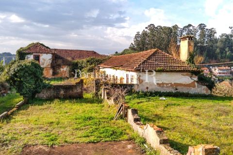Farm i Agueda, Aveiro, Agueda - € 1.900.000 | Ref: MAS_3887 - foto 3