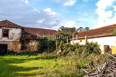 Farm i Agueda, Aveiro, Agueda - € 1.900.000 | Ref: MAS_3887 - foto 12