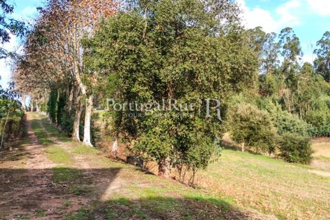 Farm i Agueda, Aveiro, Agueda - € 1.900.000 | Ref: MAS_3887 - foto 13