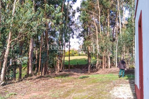 Farm i Agueda, Aveiro, Agueda - € 1.900.000 | Ref: MAS_3887 - foto 15
