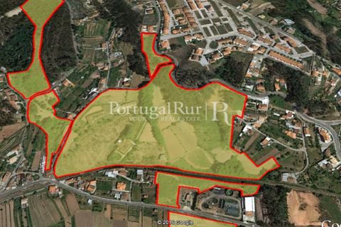 Farm i Agueda, Aveiro, Agueda - € 1.900.000 | Ref: MAS_3887 - foto 5