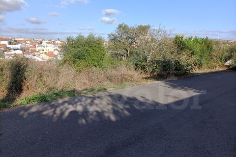 Helårsgrund i Sintra, Lisbon, Sintra - € 740.000 | Ref: 010561017 - foto 3