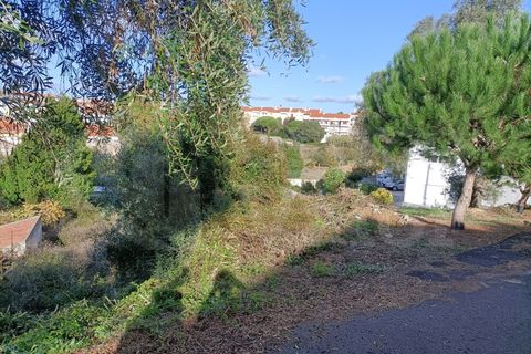 Helårsgrund i Sintra, Lisbon, Sintra - € 740.000 | Ref: 010561017 - foto 4