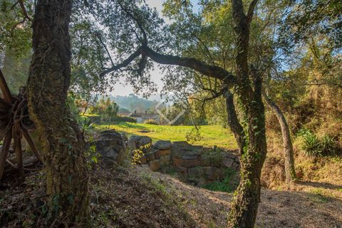 Villa i Calonge, Gerona, Calonge - € 450.000 | Ref: PDA32733 - foto 3