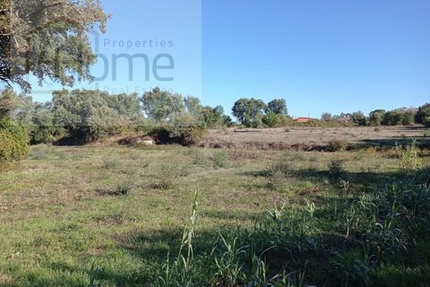 Helårsgrund i Tomar, Santarem, Tomar - € 16.500 | Ref: P4HSÒL_102 - foto 1