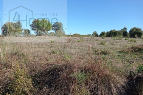 Helårsgrund i Tomar, Santarem, Tomar - € 16.500 | Ref: P4HSÒL_102 - foto 2
