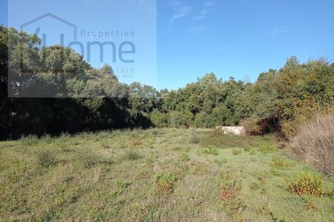 Helårsgrund i Tomar, Santarem, Tomar - € 16.500 | Ref: P4HSÒL_102 - foto 3