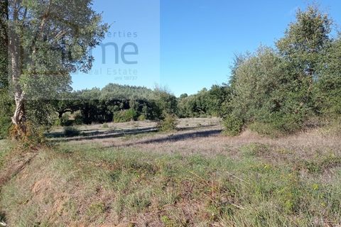 Helårsgrund i Tomar, Santarem, Tomar - € 16.500 | Ref: P4HSÒL_102 - foto 4