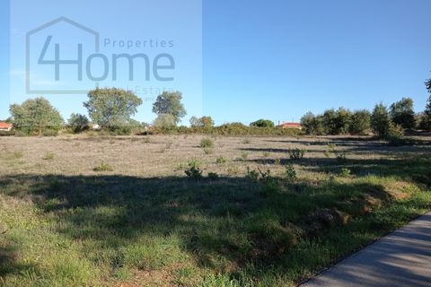 Helårsgrund i Tomar, Santarem, Tomar - € 16.500 | Ref: P4HSÒL_102 - foto 5